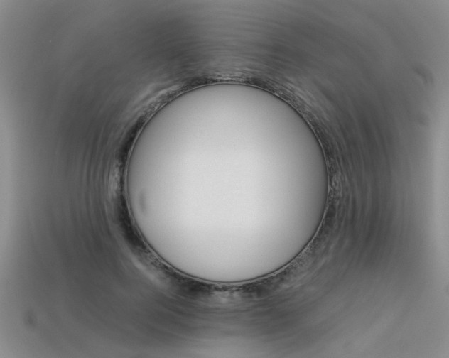 X0000113600744200909181108