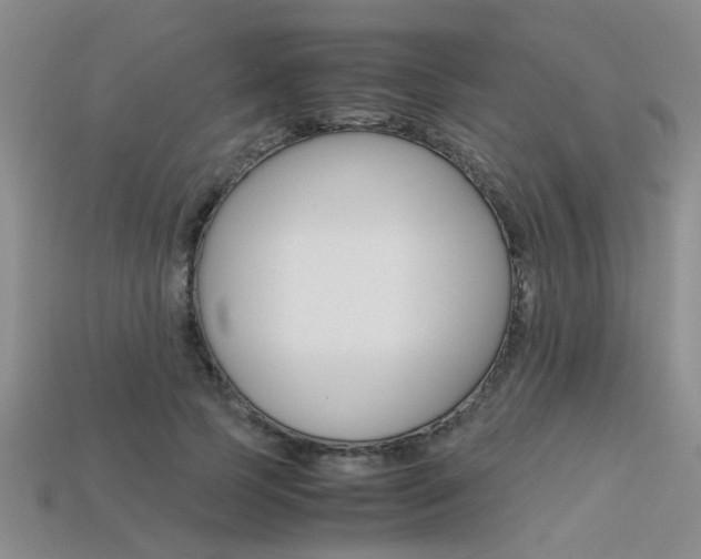 X0000113600745200909181108