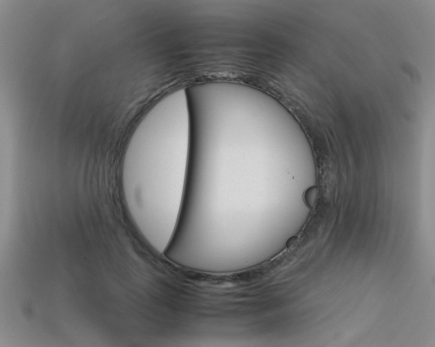 X0000113600747200909181108