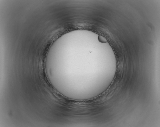 X0000113600749200909181108