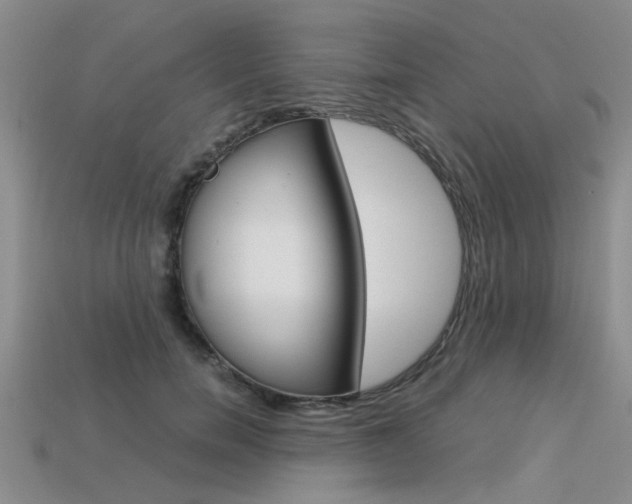 X0000113600750200909181108