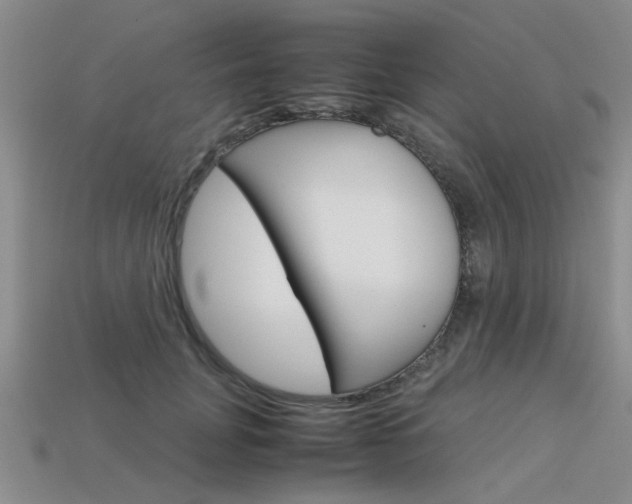 X0000113600751200909181108