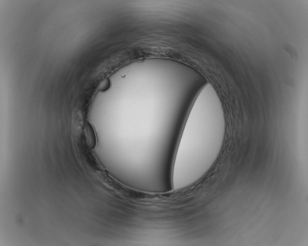 X0000113600752200909181108