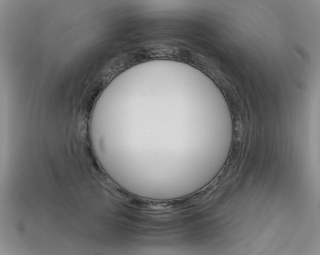 X0000113600753200909181108