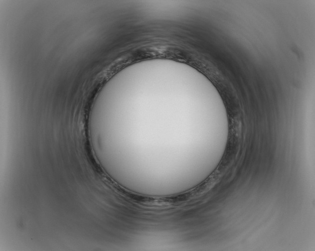 X0000113600754200909181108