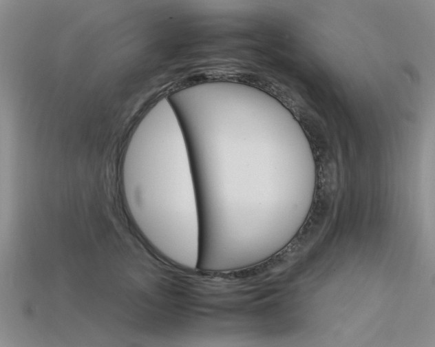 X0000113600755200909181108