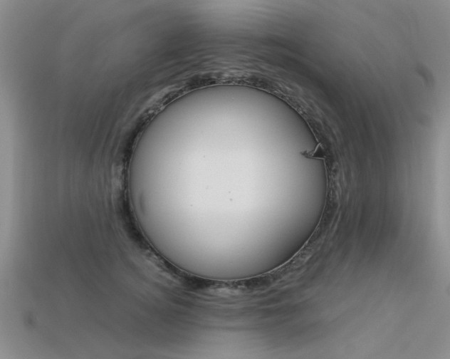 X0000113600756200909181108