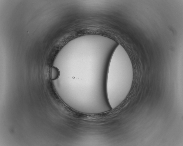 X0000113600758200909181108