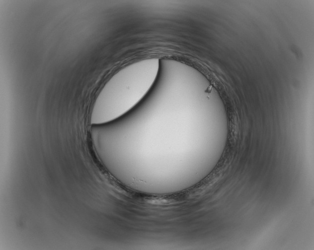 X0000113600759200909181108