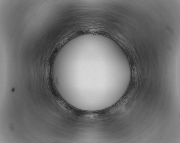 X0000113600760200909181109