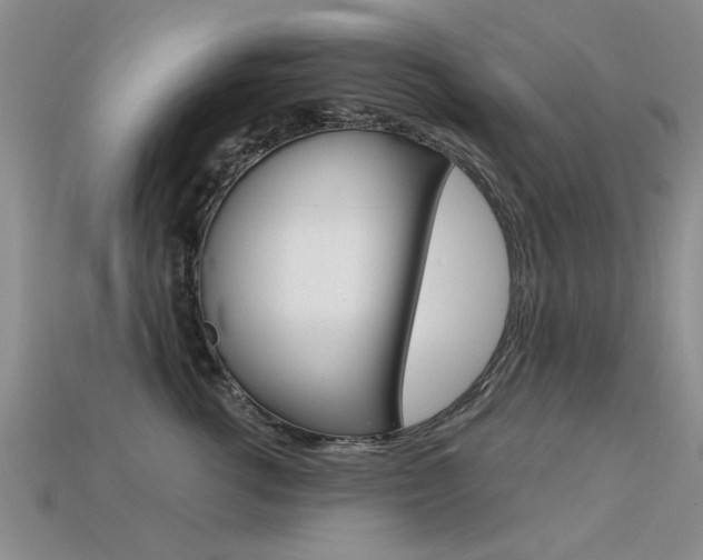 X0000113600762200909181109