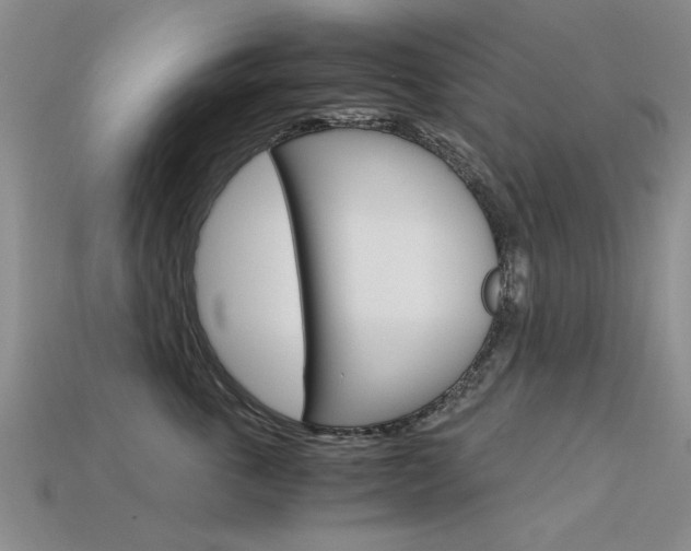 X0000113600763200909181109