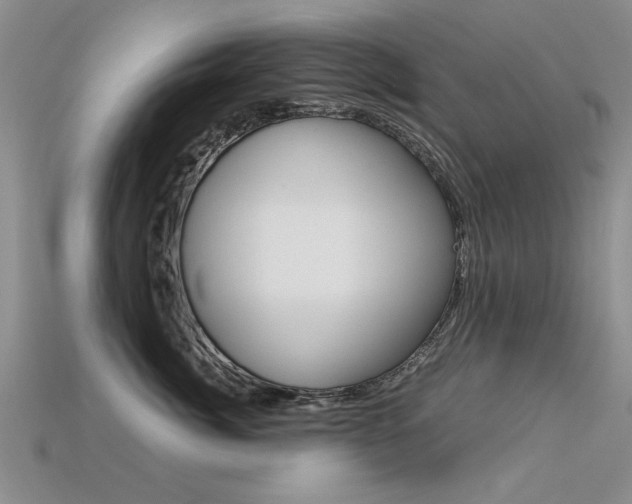 X0000113600764200909181109