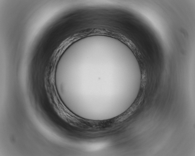 X0000113600765200909181109