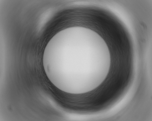 X0000113600766200909181109