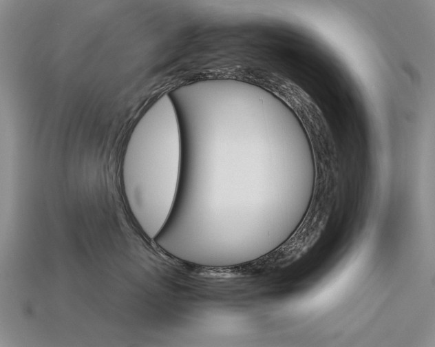 X0000113600767200909181109