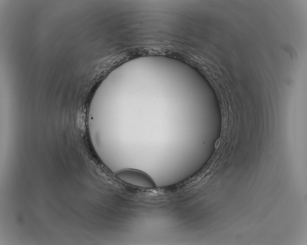 X0000113600768200909181109