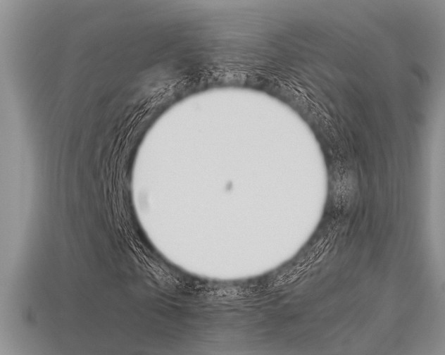X0000113600769200909181108