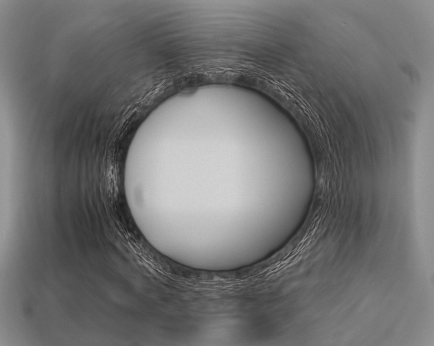 X0000113600772200909181108