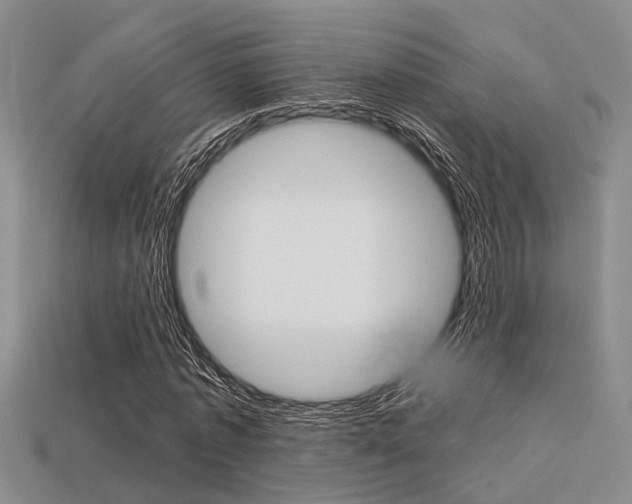 X0000113600773200909181108