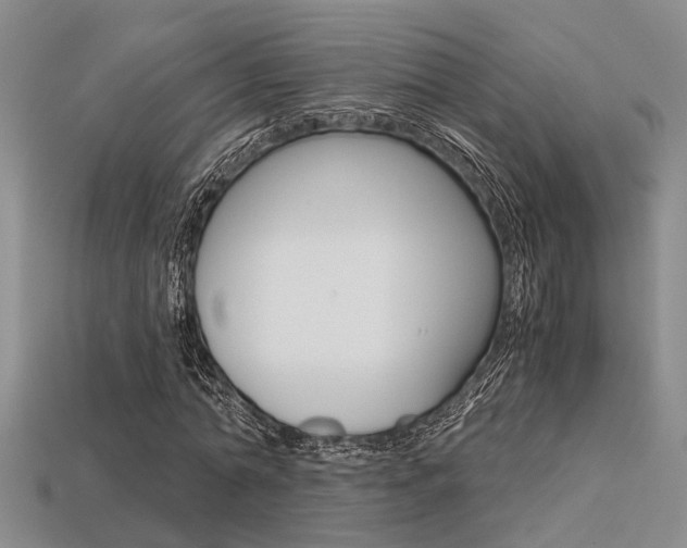 X0000113600774200909181108