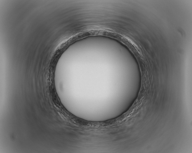 X0000113600775200909181108