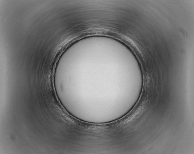 X0000113600778200909181108