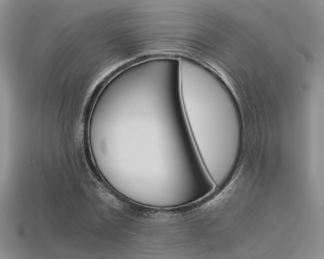 X0000113600779200909181108