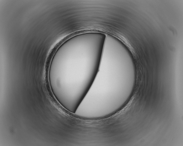 X0000113600780200909181108