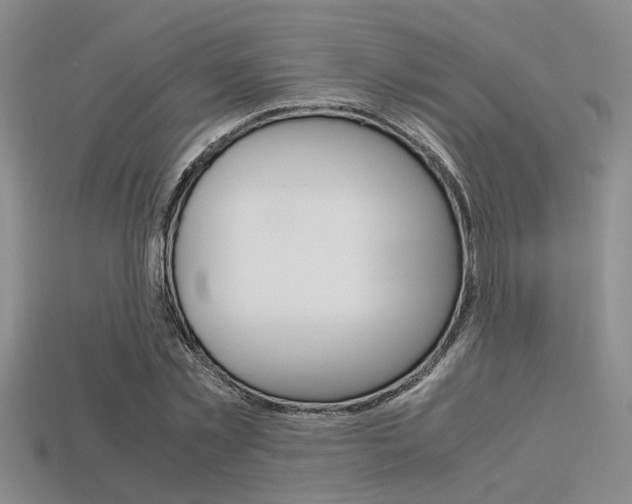 X0000113600781200909181108
