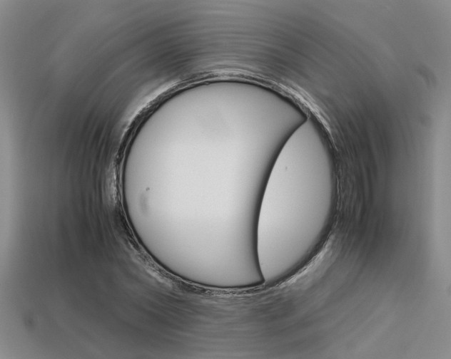 X0000113600782200909181108