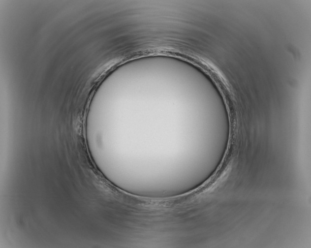 X0000113600785200909181108