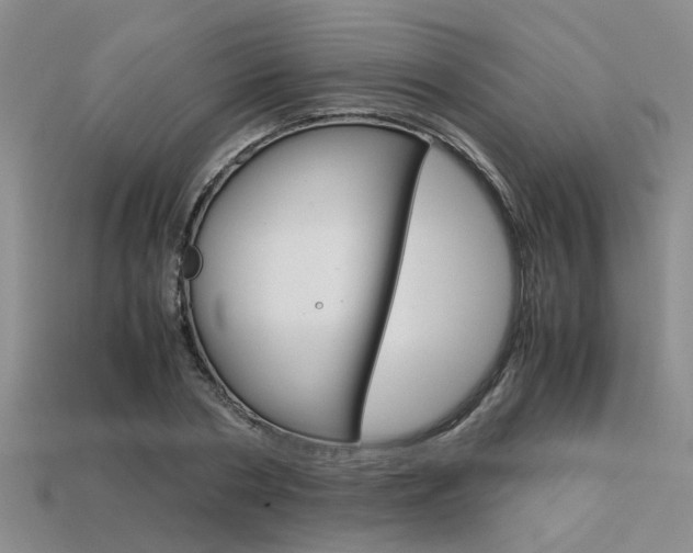 X0000113600786200909181108