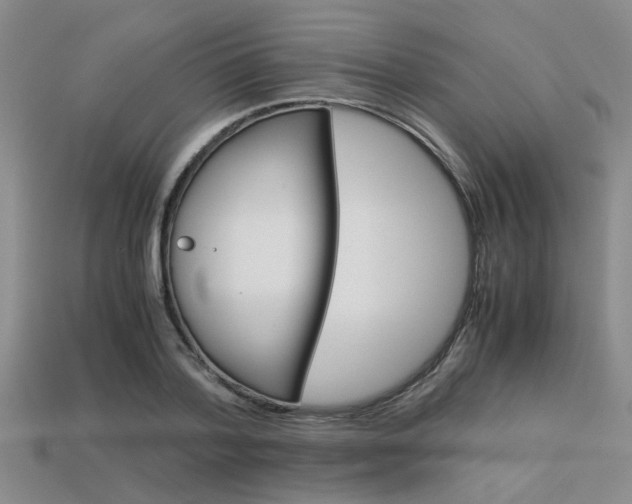 X0000113600788200909181108