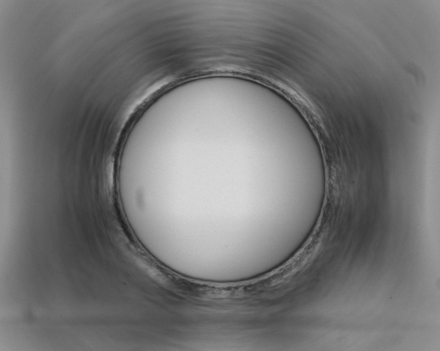 X0000113600790200909181108