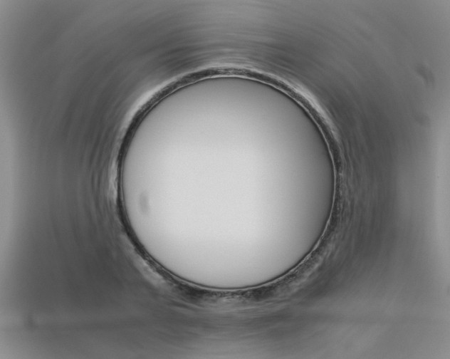 X0000113600791200909181108
