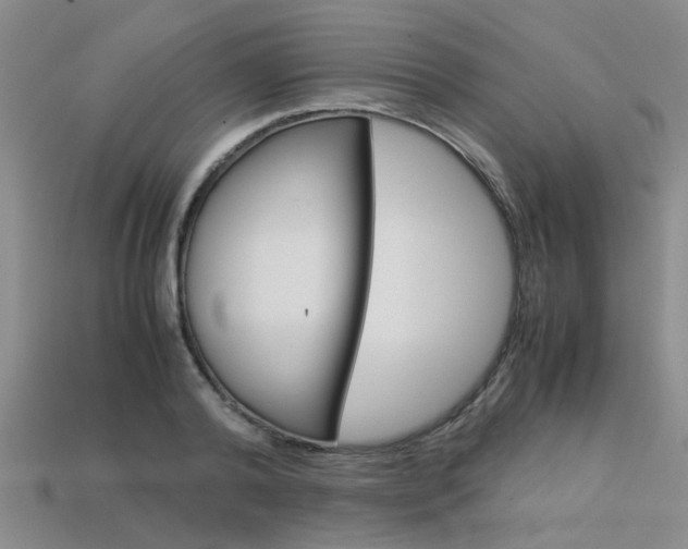 X0000113600792200909181108