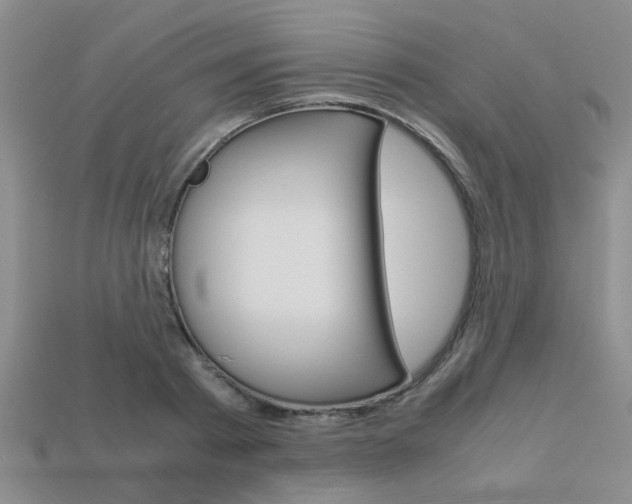 X0000113600793200909181108