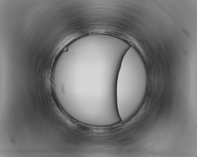 X0000113600794200909181108