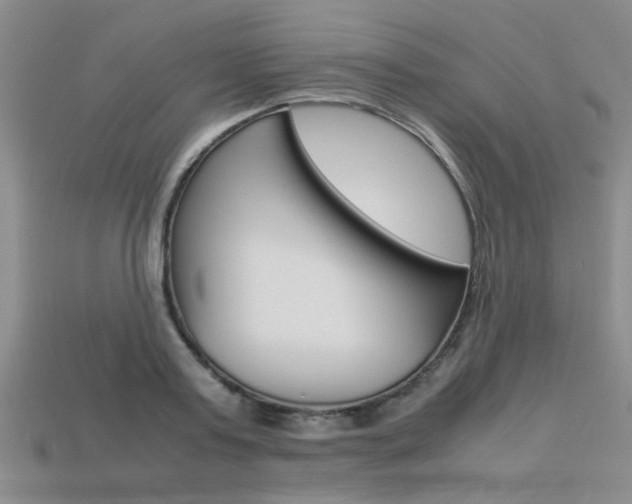 X0000113600795200909181108