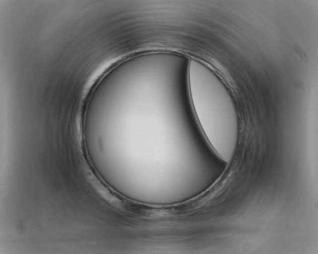 X0000113600796200909181108