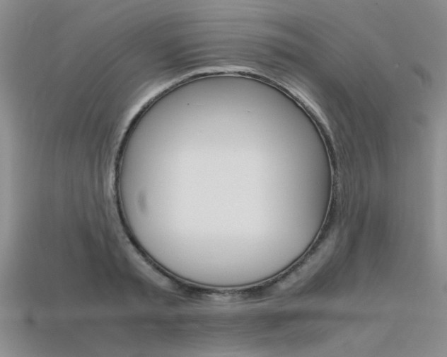X0000113600797200909181108