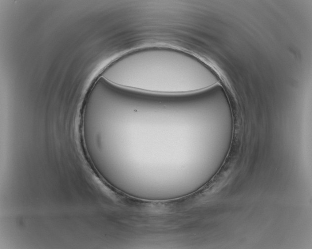 X0000113600799200909181108