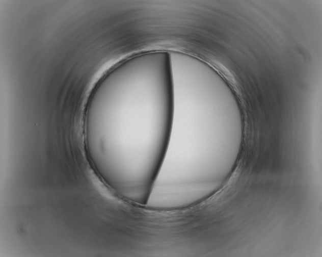 X0000113600800200909181108