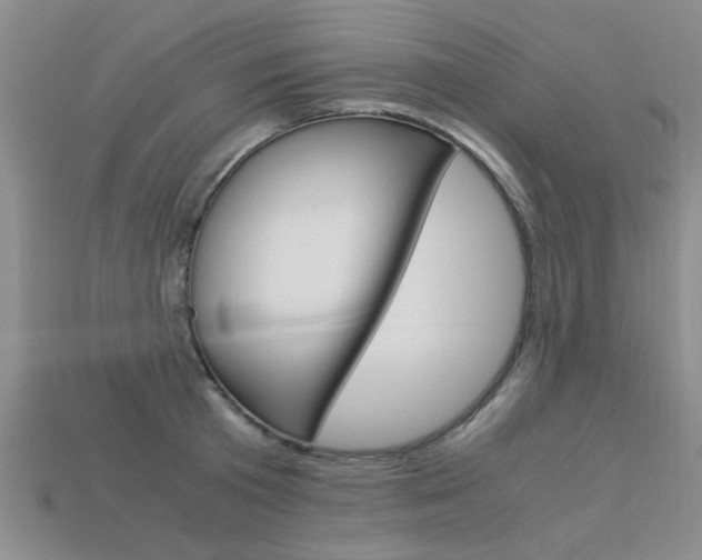 X0000113600801200909181108