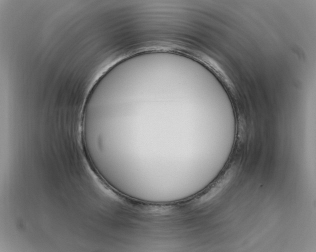 X0000113600802200909181108