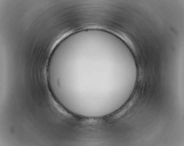X0000113600806200909181108
