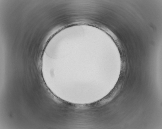 X0000113600807200909181108