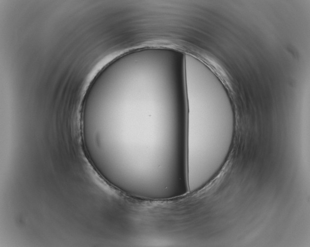 X0000113600808200909181108