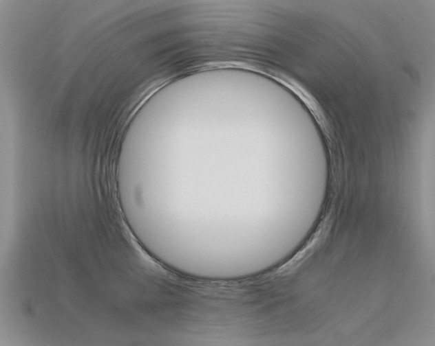 X0000113600809200909181107